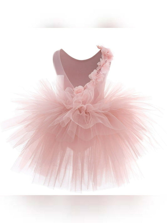 Charming blush tutu for ballerinas featuring soft tulle and pretty flower embellishments.