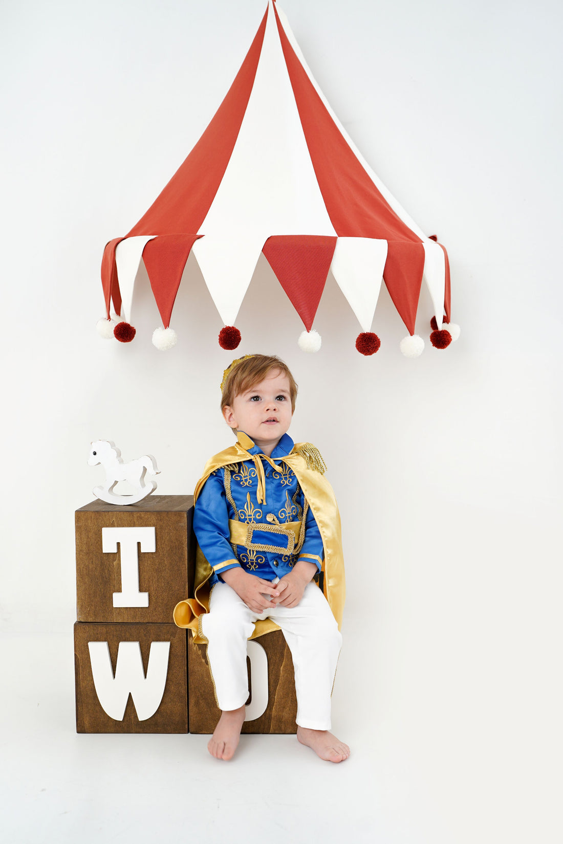 Royal Blue Baby Boys Prince Suit Baby Girl Dress for Special Occasion