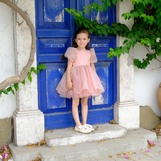 Organza Flower girl dress Baby Girl Dress