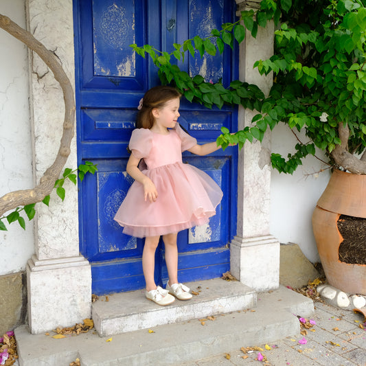 Organza Flower girl dress