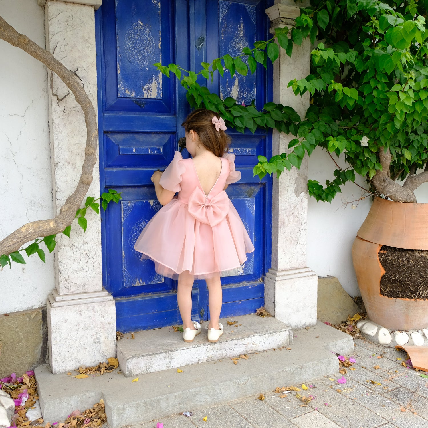 Organza Flower girl dress Baby Girl Dress