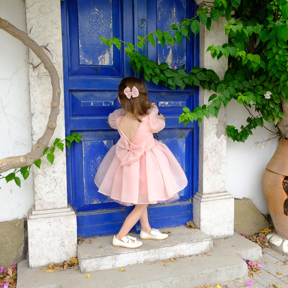 Organza Flower girl dress Baby Girl Dress for Special Occasion