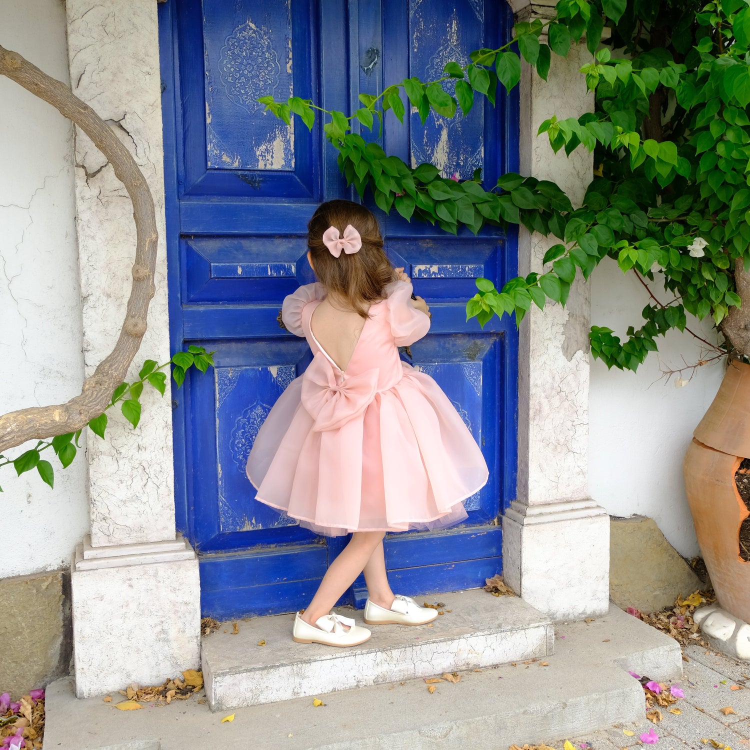Organza Flower girl dress Baby Girl Dress