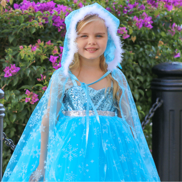 Elsa Frozen Costume, Disney elsa gown with cape