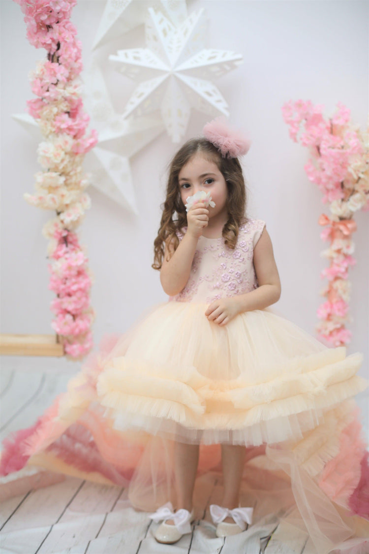 Little Girl Rainbow Dress