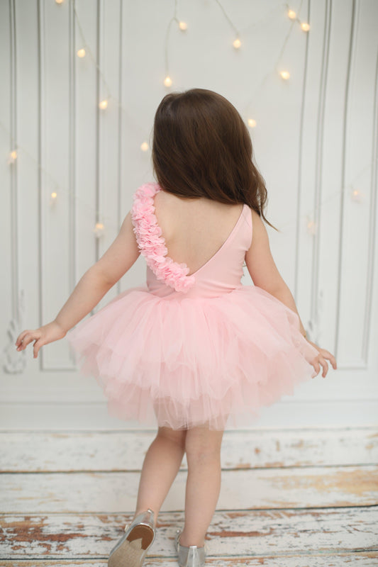 toddler dance leotards Baby Girl Dress