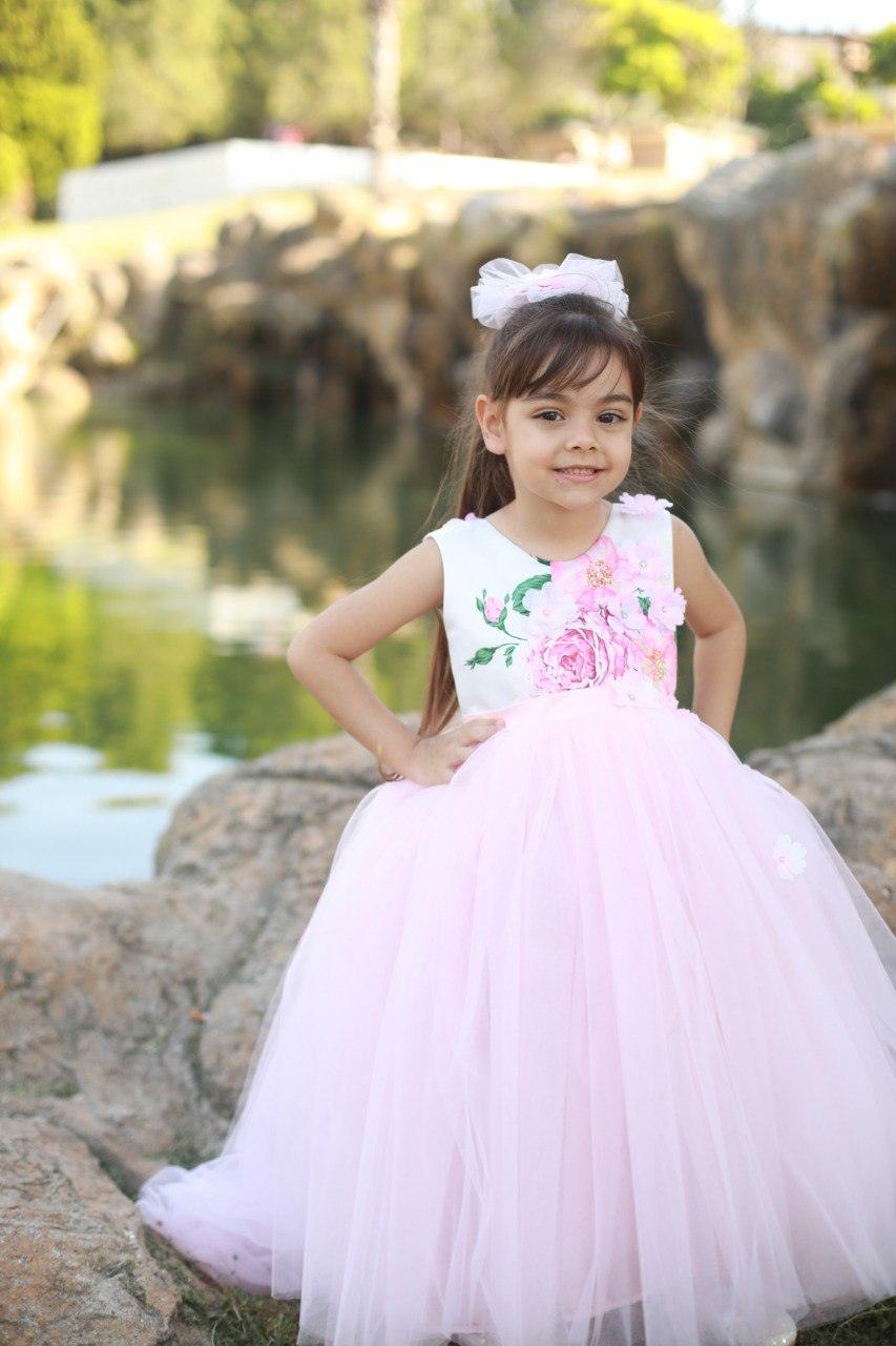 Sara 3d flower girl dress Baby Girl Dress for Special Occasion