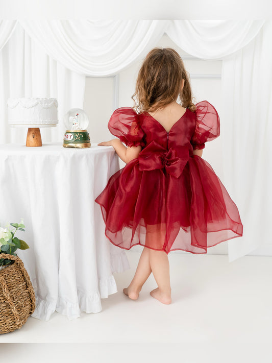 Burgundy Ballon sleeve dress