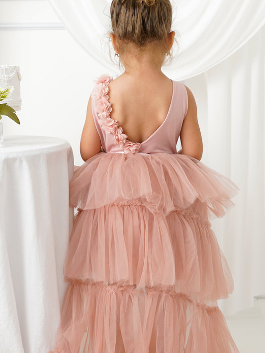 Blush Leotard Ballerina Tutu with tail