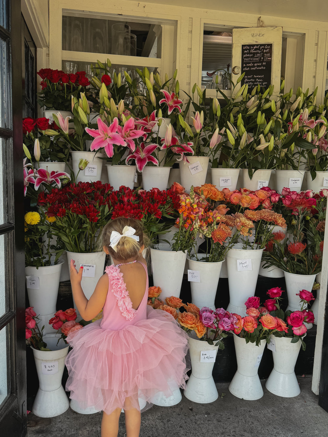 Soft blush tutu for girls with floral embellishments, perfect for ballet and special occasions.