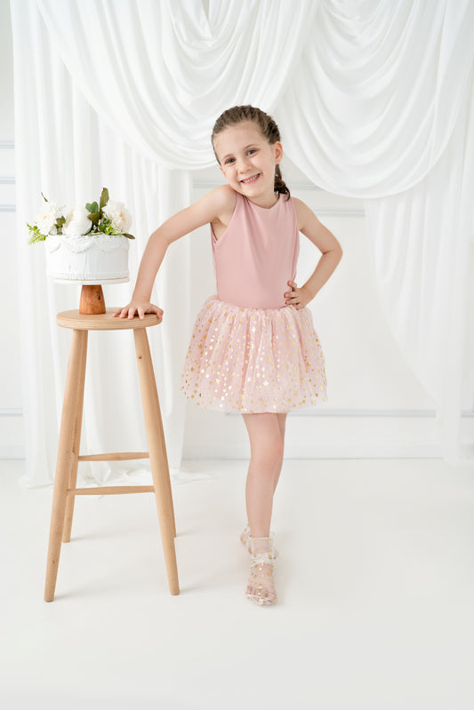 Blush tutu balerina dress with star Baby Girl Dress