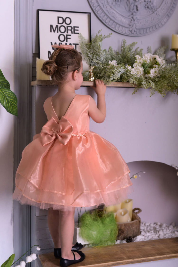 a little girl in a pink dress standing on a shelf