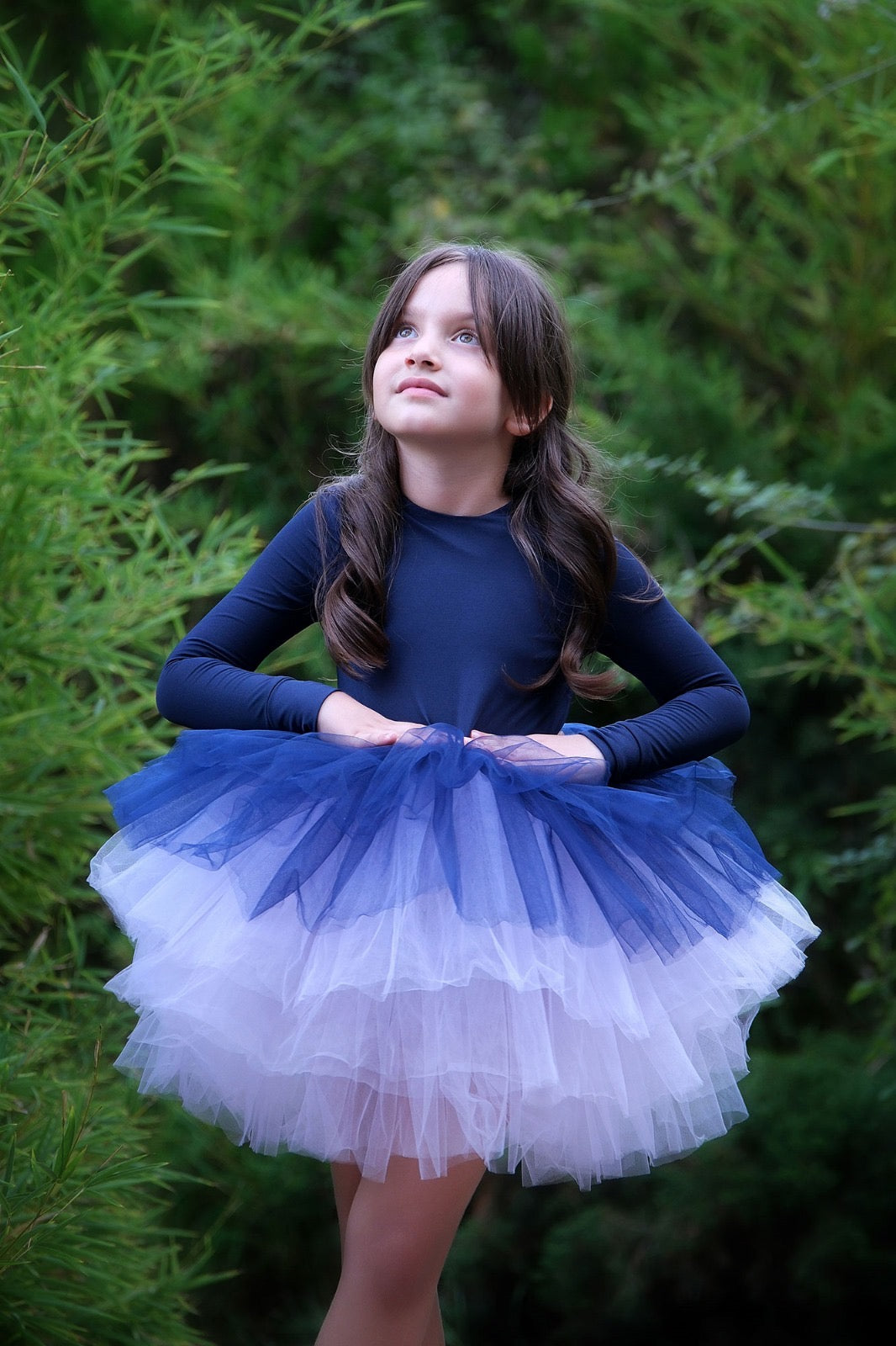 Ballerina tutu navy blue