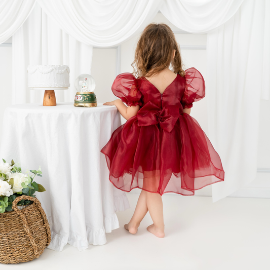 Burgundy Ballon sleeve dress