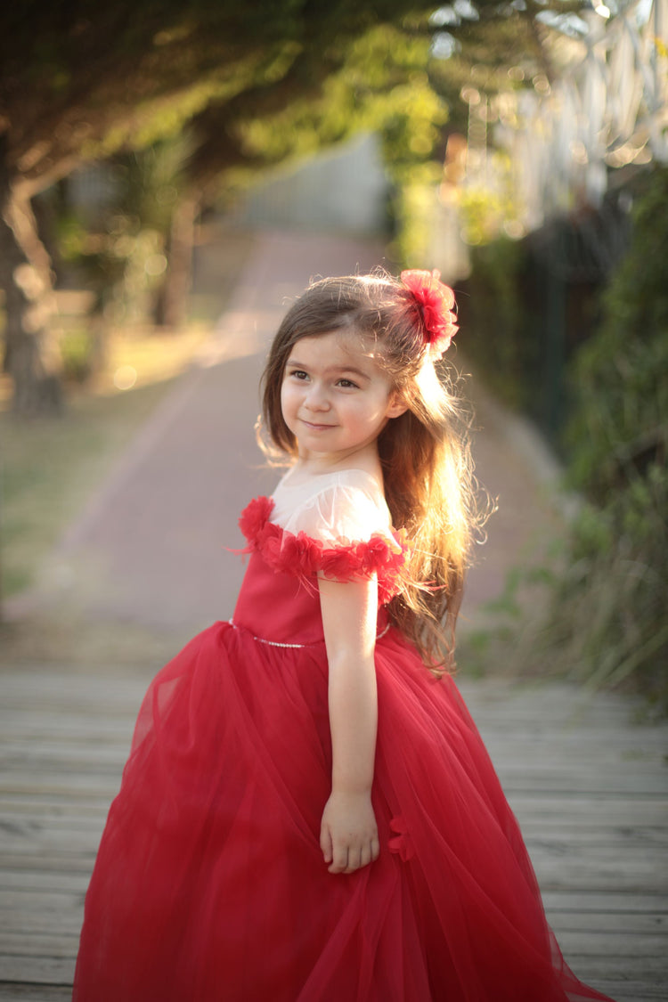 2t flower girl dress