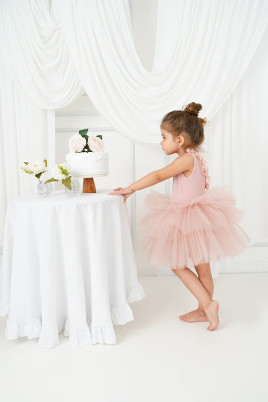 Ballerina Flower Tutu Blush Baby Girl Dress