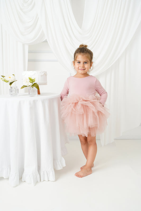 Ballerina tutu blush long sleeve Baby Girl Dress
