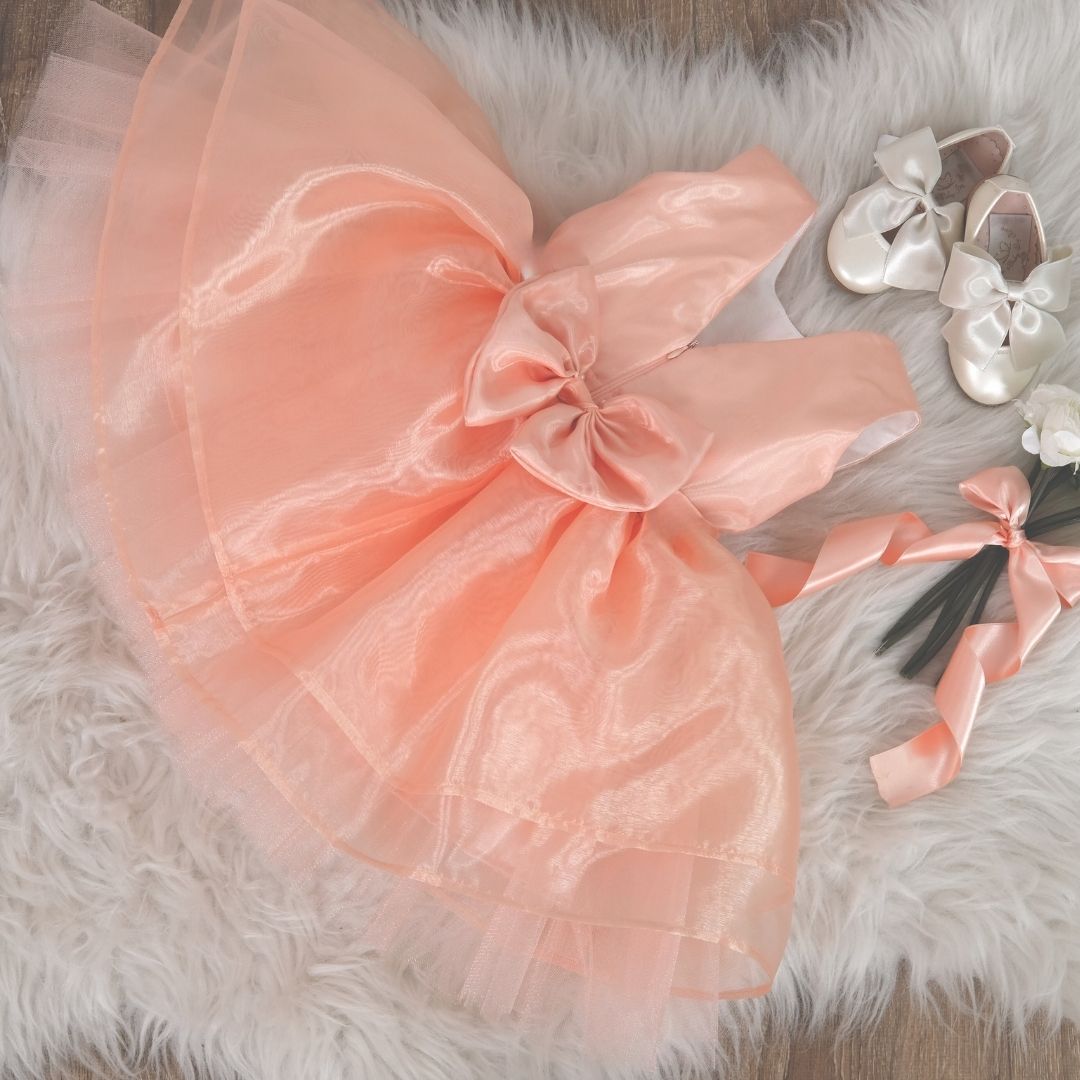 Ivy Organza girl dress Baby Girl Dress for Special Occasion