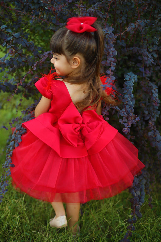 Blush Baby Dress
