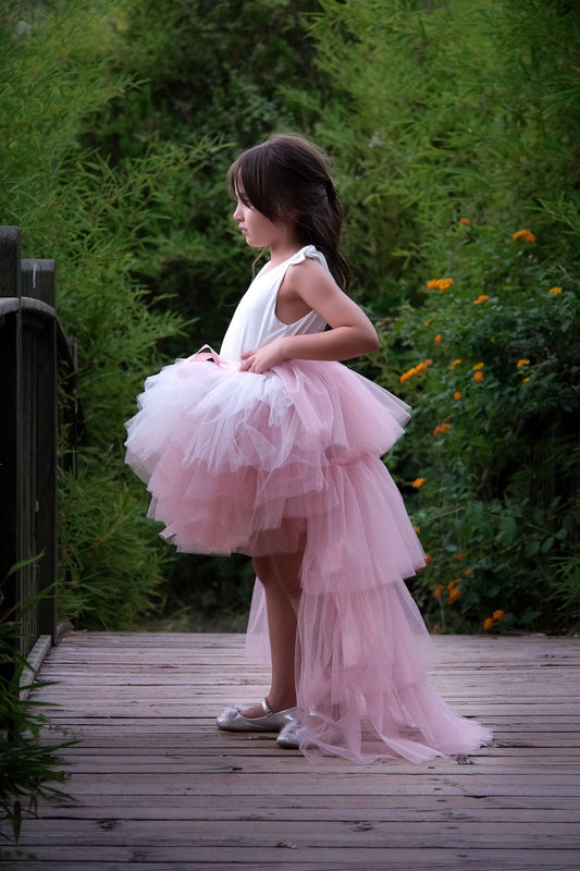 a little girl in a pink dress standing on a bridge