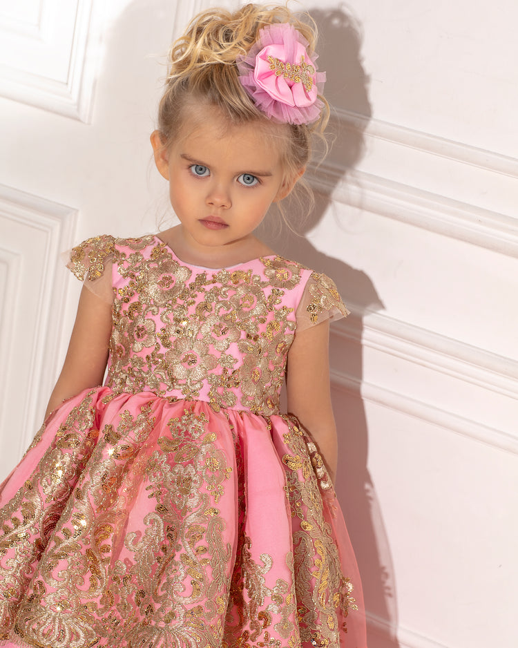a little girl wearing a pink and gold dress