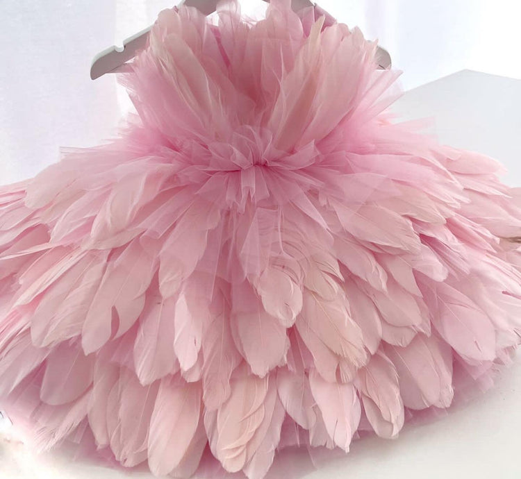 Pink Feather Party Gown, Sparkly Birthday Dress for Baby Girl Feather Tutu Dress, Feather Dress for Photoshoot, Toddler Dress for Cake Smash